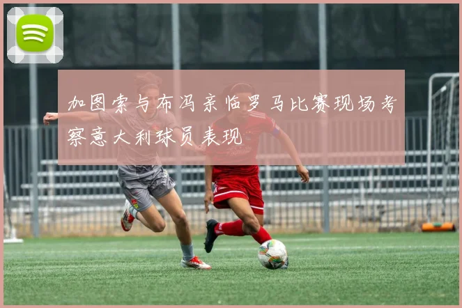 加图索与布冯亲临罗马比赛现场考察意大利球员表现